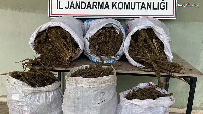 Diyarbakır'da 121 kilo esrar ele geçirildi