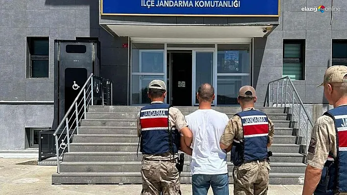 Diyarbakır'da 13 yıl kesinleşmiş hapis cezası bulunan hükümlü yakalandı