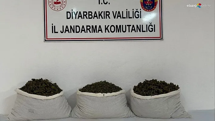 Diyarbakır'da 15 kilo skunk ele geçirildi