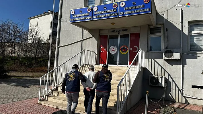 Diyarbakır'da 15 yıl hapis cezası bulunan şahıs yakalandı