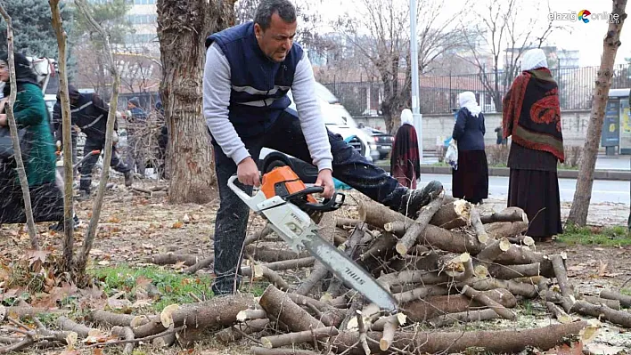 Diyarbakır'da 24 bin 833 ağaç budandı