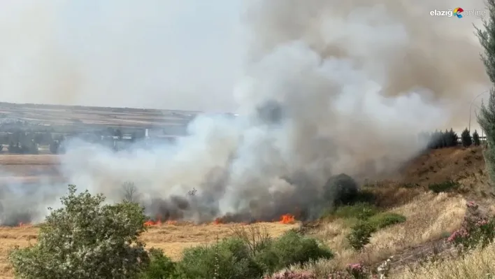 Diyarbakır'da 300 dönüm ekili buğday yandı