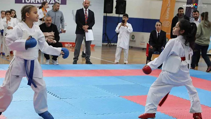 Diyarbakır'da 311 çocuk karate turnuvasında mücadele etti