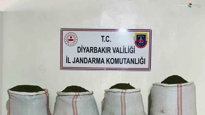 Diyarbakır'da 34 bin 500 kök kenevir ve 112 kilo esrar ele geçirildi