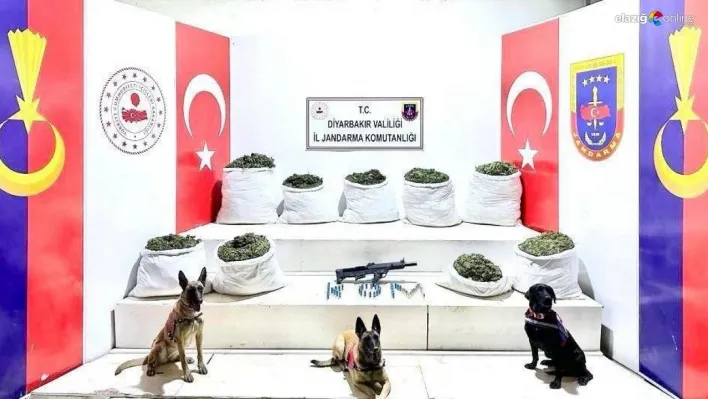 Diyarbakır'da 364,5 kilo uyuşturucu ile 150 bin kök skunk bitkisi ele geçirildi