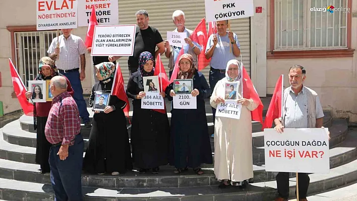 Diyarbakır'da 384'üncü aile evlat nöbetine katıldı