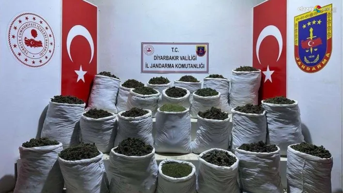 Diyarbakır'da 435 kilo esrar ve 632 bin 120 kök esrar bitkisi ele geçirildi