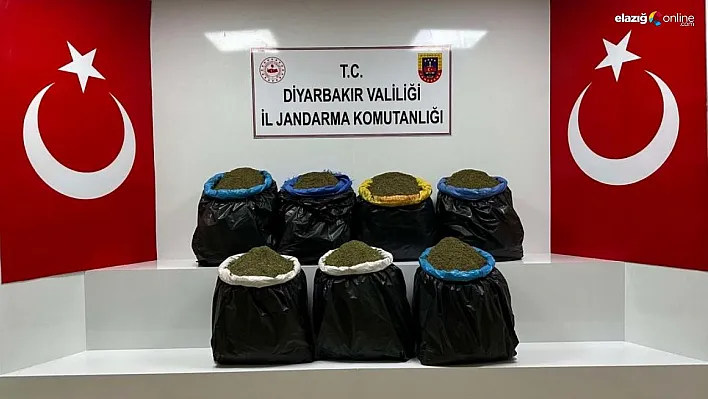 Diyarbakır'da ağaçlık alanda 100 kilo esrar bulundu