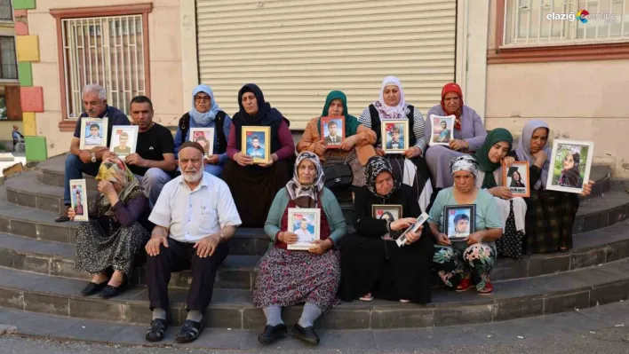 Diyarbakır'da ailelerin evlat nöbeti kararlılıkla sürüyor