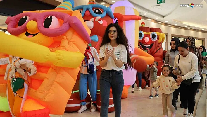 Diyarbakır'da alışveriş festivali başladı