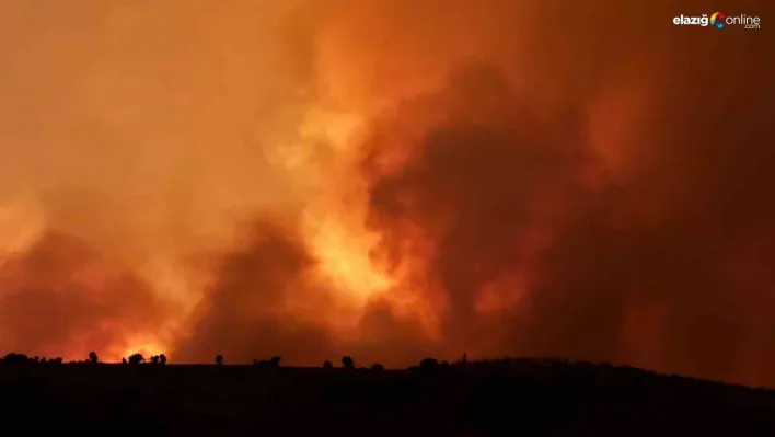 Diyarbakır'da anız yangını: 3 ölü, 9 yaralı