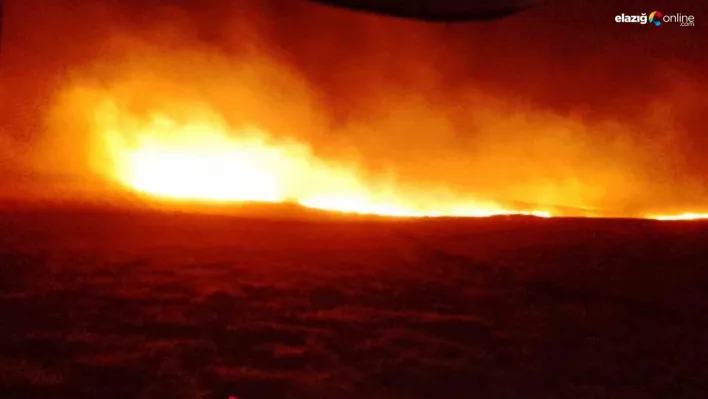 Diyarbakır'da anız yangını: Bin dönüm arazi zarar gördü