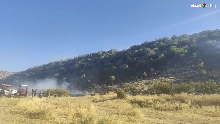 Diyarbakır'da anız yangını ormanlık alana sıçradı