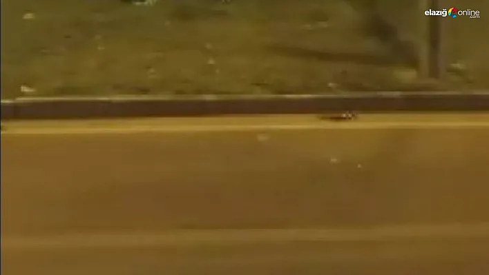 Diyarbakır'da araç refüje uçtu: 1 yaralı