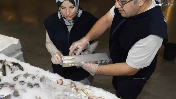 Diyarbakır'da balık satış yerleri denetlendi