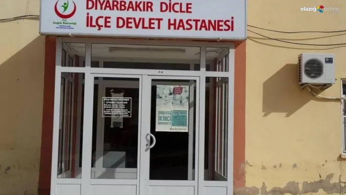 Diyarbakır'da başıboş köpek tarafından ısırılan kadın yaralandı
