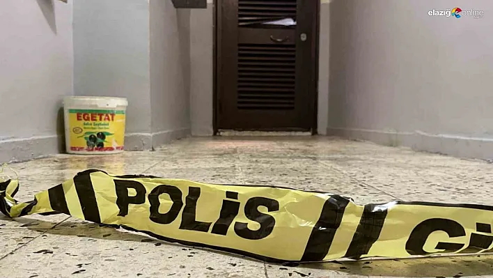 Diyarbakır'da bir şahıs anne ve ağabeyini yataklarında öldürdü