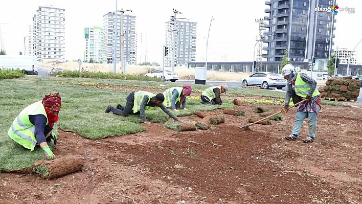 Diyarbakır'da bulvar yeşillendirme çalışmaları devam ediyor