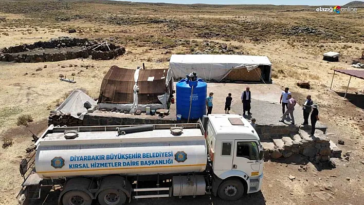 Diyarbakır'da bunaltan sıcaklarda hayvanlar unutulmadı!