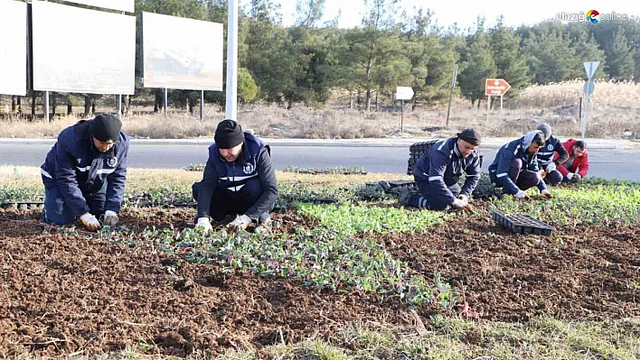 Diyarbakır'da çiçeklendirme çalışmaları devam ediyor