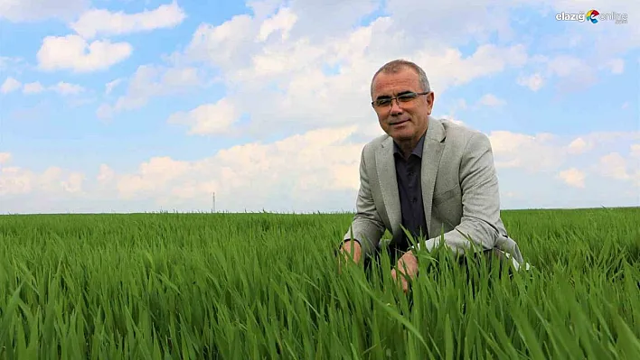 Diyarbakır'da çiftçinin yüzü son yağışlarla güldü