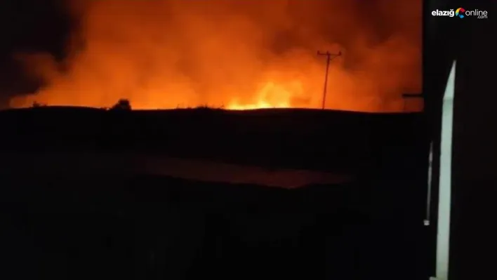 Diyarbakır'da çıkan anız yangını söndürüldü