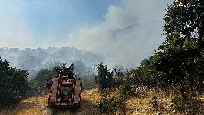 Diyarbakır'da çıkan orman yangınına 9 saattir müdahale devam ediyor