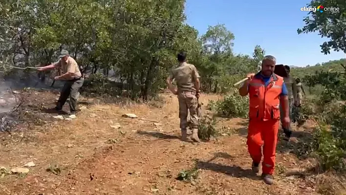 Diyarbakır'da çıkan örtü yangını 7 saat sonra kontrol altına alındı