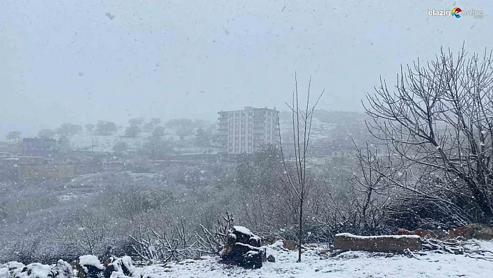 Diyarbakır'da etkili olan kar yağışı çiftçiyi hem sevindirdi hem de korkuttu