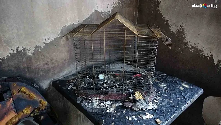 Diyarbakır'da ev yangını: Ev kullanılamaz hale geldi