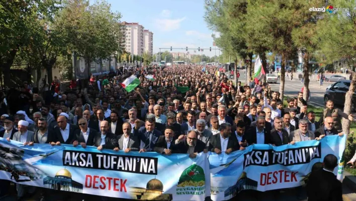 Diyarbakır'da Filistinliler'e destek yürüyüşü