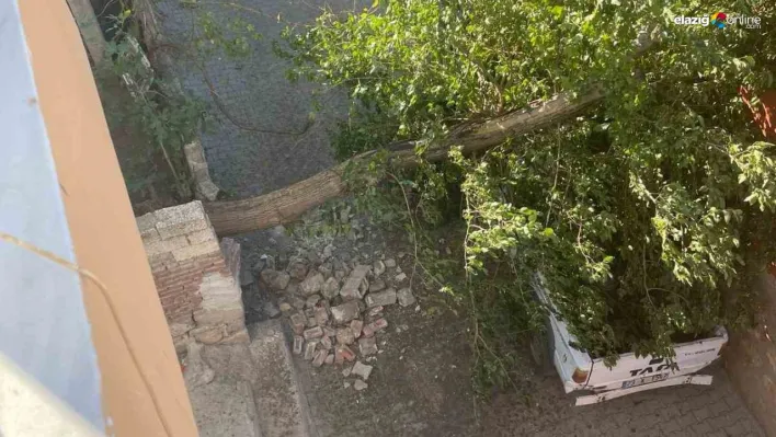Diyarbakır'da fırtınada ağaç kamyonetin üstüne devrildi