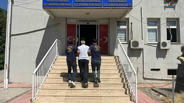 Diyarbakır'da haklarında kesinleşmiş hapis cezası bulunan 65 kişi yakalandı
