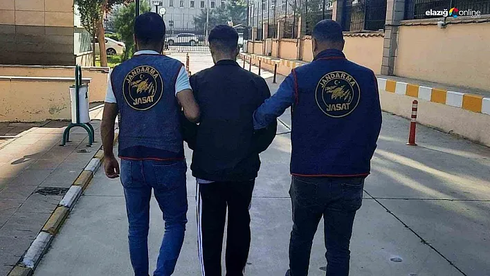 Diyarbakır'da haklarında kesinleşmiş hapis cezası bulunan 82 kişi yakalandı