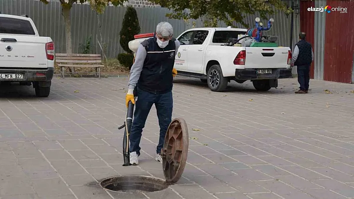 Diyarbakır'da haşerelere karşı kışlak ilaçlamanın startı verildi