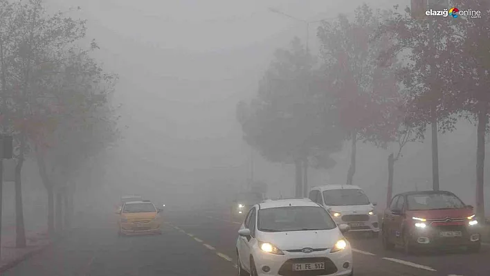 Diyarbakır'da hava ve kara ulaşımına sis engeli