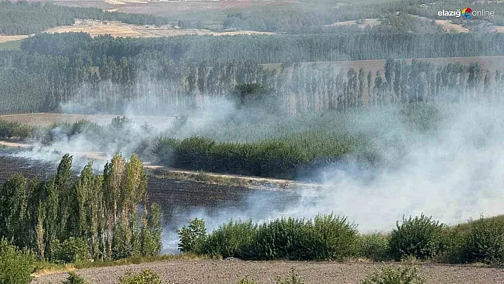 Diyarbakır'da Hevsel Bahçelerindeki mısır tarlasında anız yangını