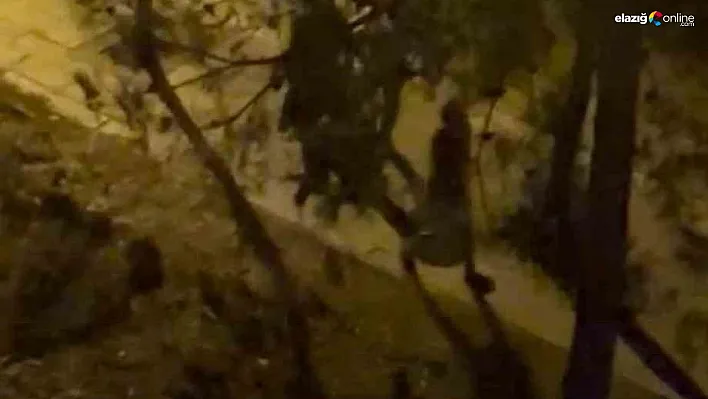 Diyarbakır'da Kavga Ortasında Kalan Vatandaş Hayatını Kaybetti!