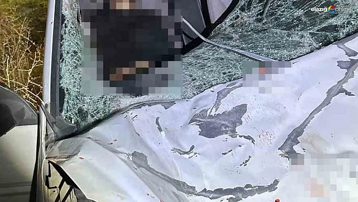 Diyarbakır'da iki otomobil ile at çarpıştı: 1 ölü, 7 yaralı