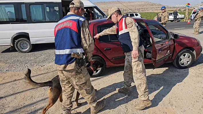 Diyarbakır'da jandarma denetiminde 8 asker kaçağı tespit edildi