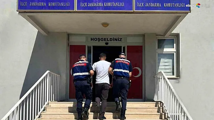 Diyarbakır'da JASAT ekipleri iki firari hükümlüyü yakaladı