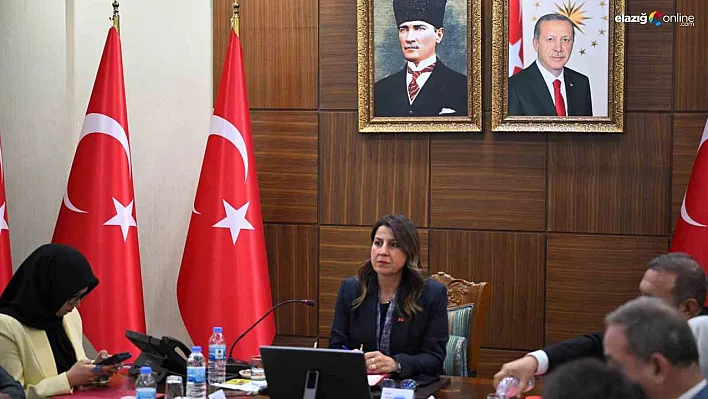 Diyarbakır'da, kadın hizmetleri bölgesel istişare toplantısı yapıldı