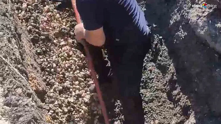 Diyarbakır'da kanalizasyon borusunda mahsur kalan kuzu böyle kurtarıldı
