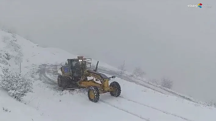 Diyarbakır'da kardan kapanan yollar ulaşıma açıldı