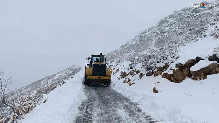 Diyarbakır'da karla kaplı 165 kilometre yol ulaşıma açıldı