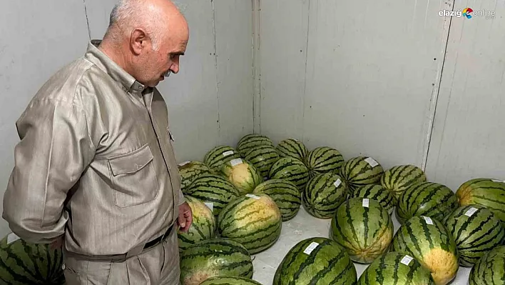 Diyarbakır'da karpuz yarışmasına sayılı günler kaldı