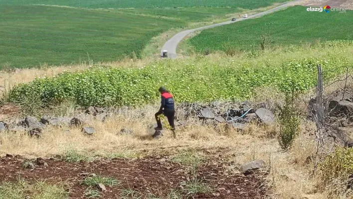 Diyarbakır'da kayıp 8 yaşındaki kız, iz takip köpeği ve dron desteğiyle aranıyor