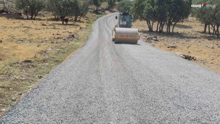 Diyarbakır'da kırsal mahallelerde yol yapım çalışmaları devam ediyor