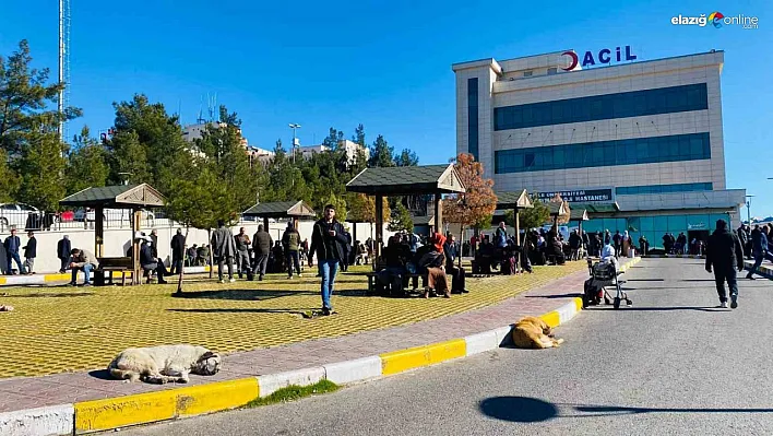 Diyarbakır'da köpek saldırısına uğrayan çocuk kafasından yaralandı