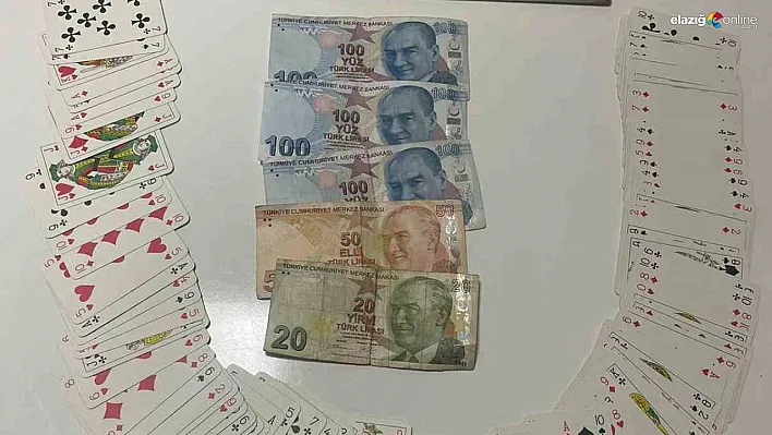 Diyarbakır'da kumar oynatan 4 kişiye 17 bin lira para cezası